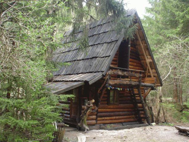 Holiday Park Zelenkovac Podrasnica Екстериор снимка
