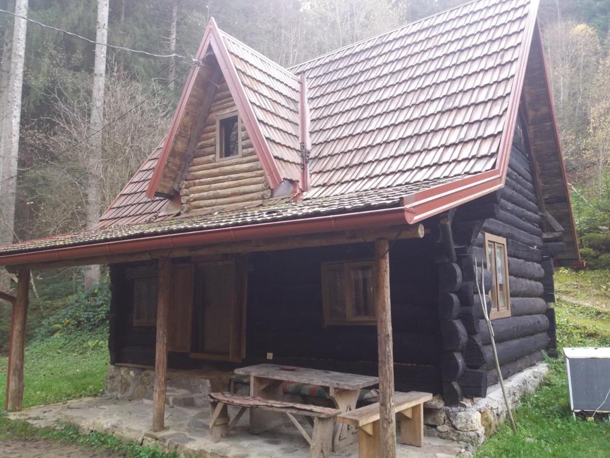 Holiday Park Zelenkovac Podrasnica Екстериор снимка