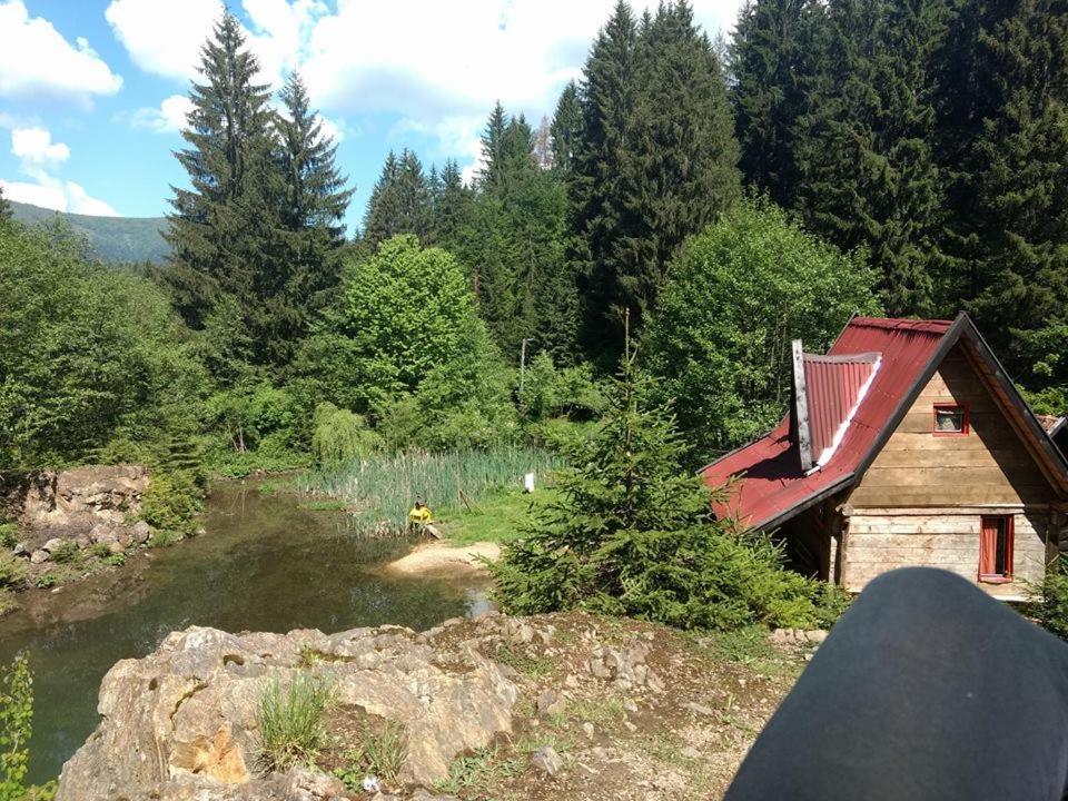 Holiday Park Zelenkovac Podrasnica Екстериор снимка