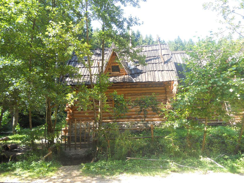 Holiday Park Zelenkovac Podrasnica Екстериор снимка