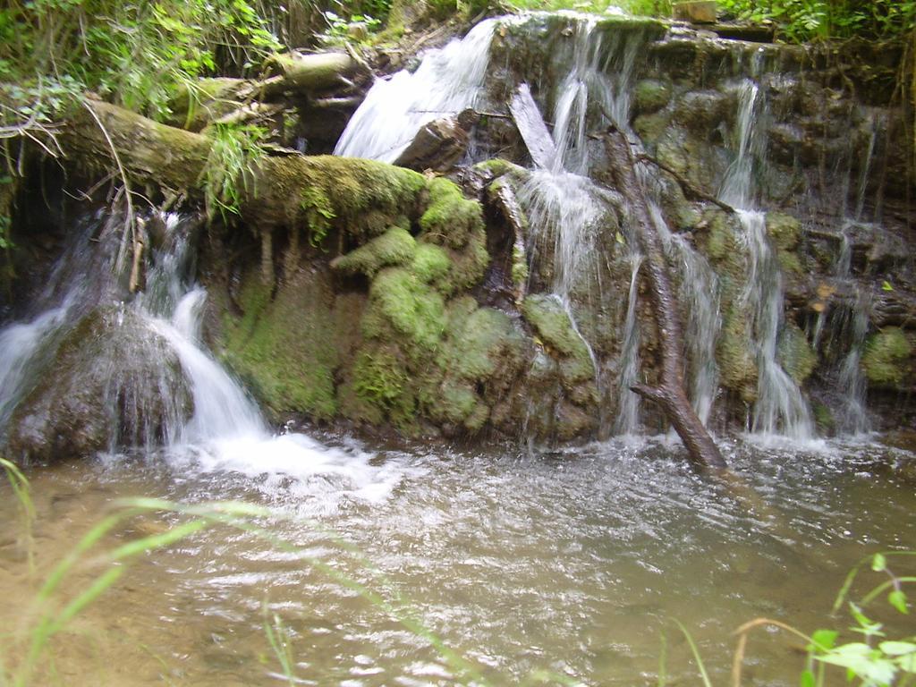 Holiday Park Zelenkovac Podrasnica Екстериор снимка