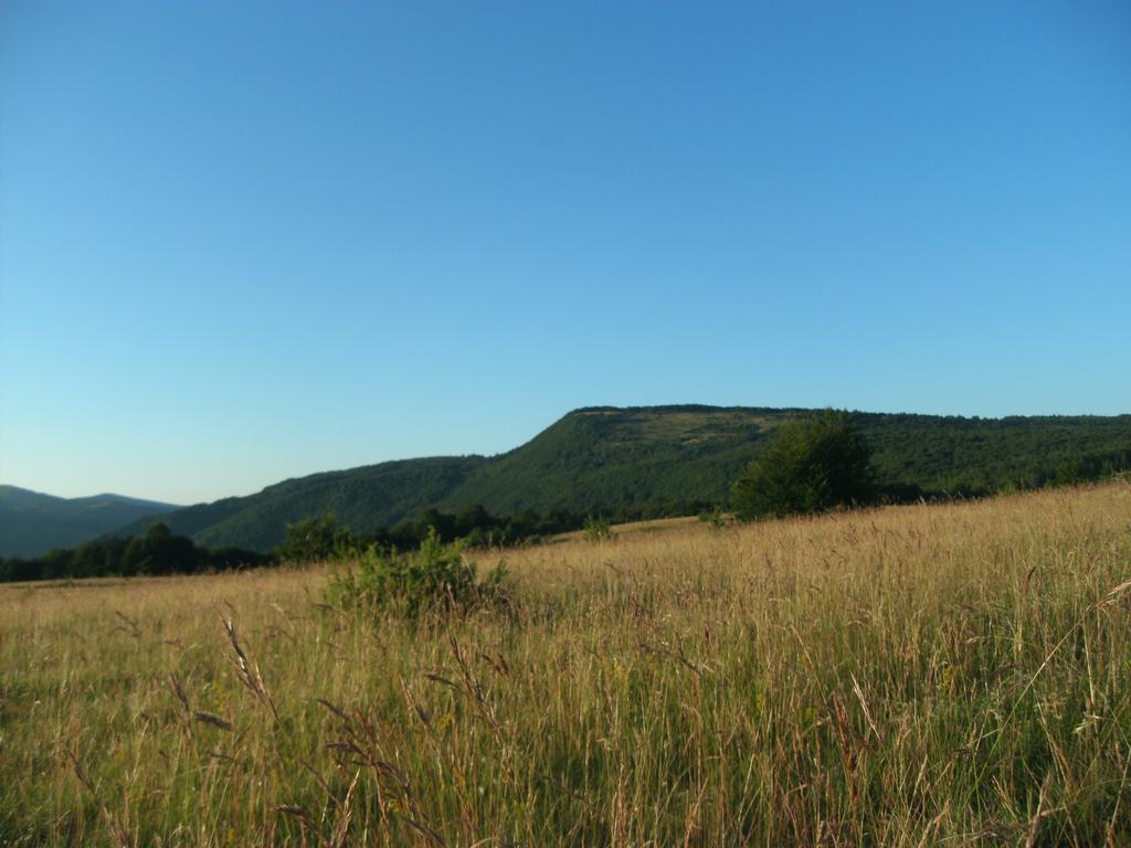 Holiday Park Zelenkovac Podrasnica Екстериор снимка